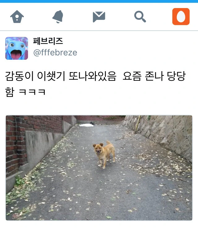길에서 우리집 강아지 마주친.manhwa - 이미지 6