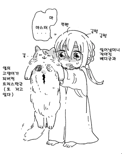 FGO)베디 릴리 만화