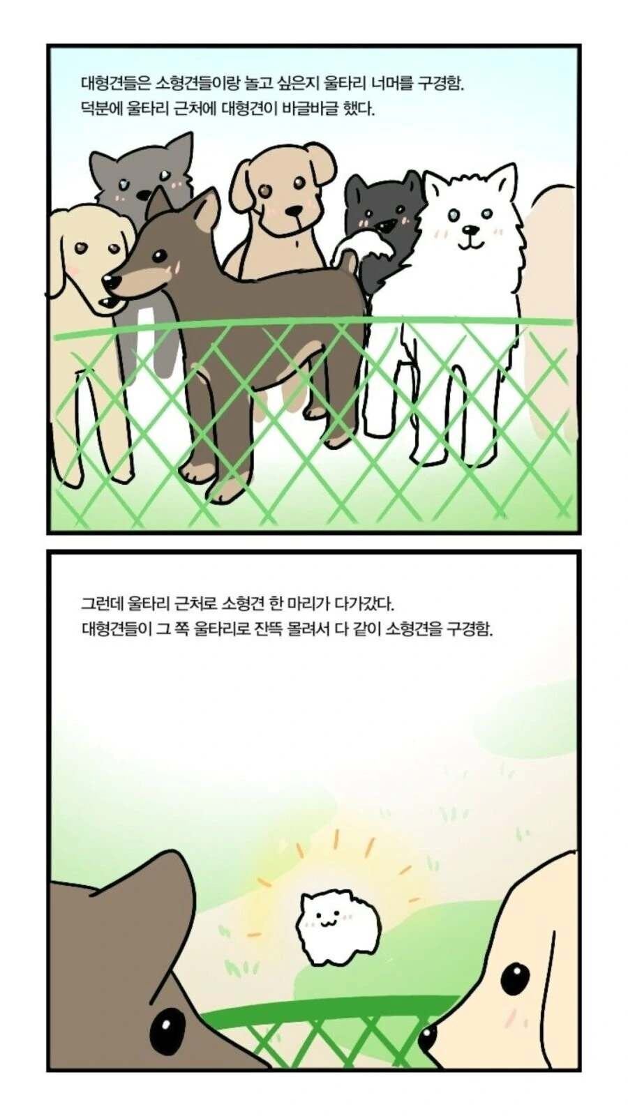 위협하는 포메라니안.manwha