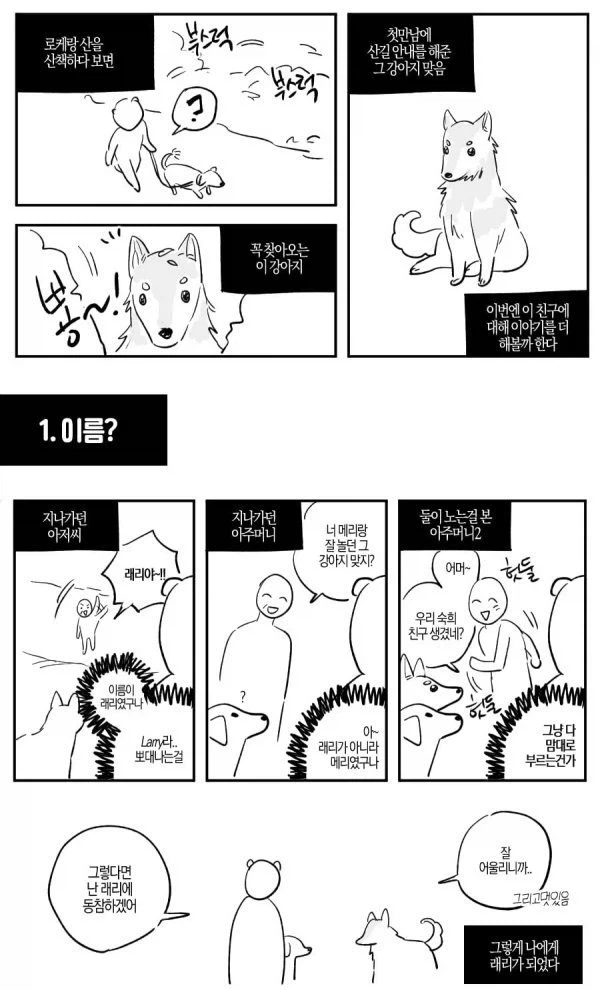 산에서 길잃은 사람을 도와준 유기견.manhwa - 이미지 5