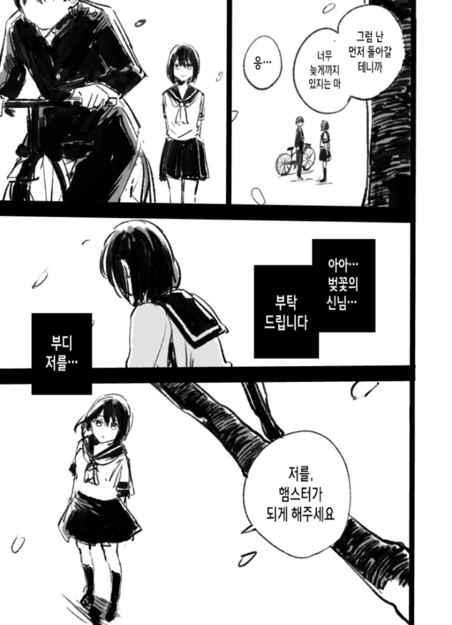 햄스터가 되고싶은 누나.manwha - 이미지 4