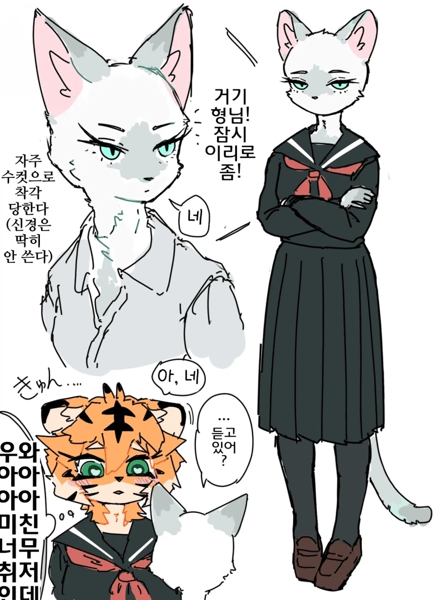 퍼리)호랑이랑 고양이 수인 백합 만화.manhwa - 이미지 2
