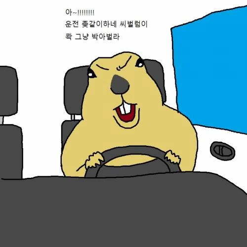 자동차 운전하다가 개빡치는 만화.Manhwa - 이미지 4