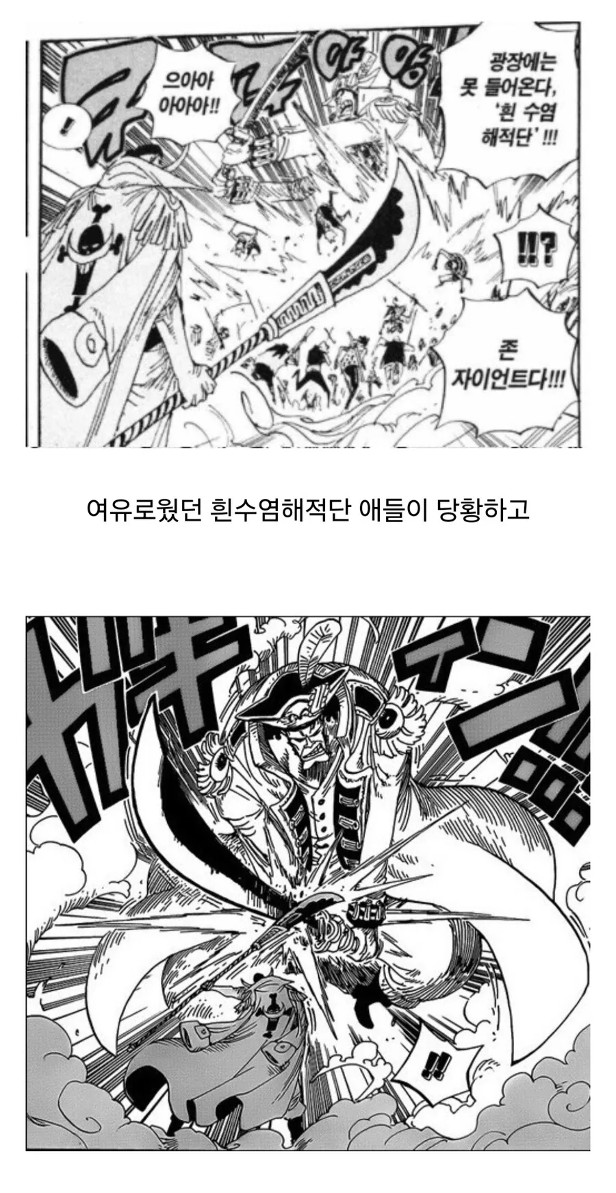 원피스) 의외로 흰수염이 강하다 인정한 중장