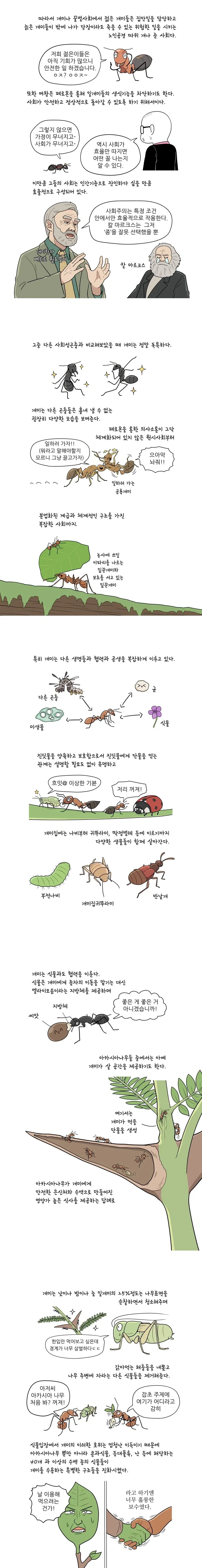 만화로 배우는 곤충의 진화 - 개미 - 이미지 2