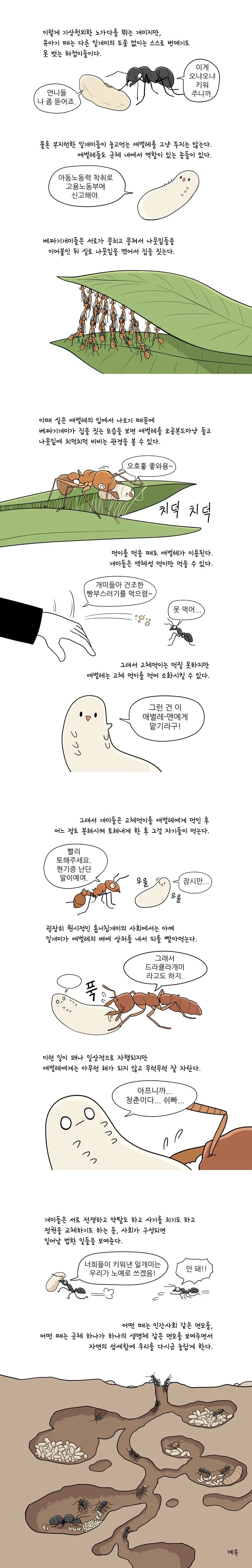 만화로 배우는 곤충의 진화 - 개미 - 이미지 3