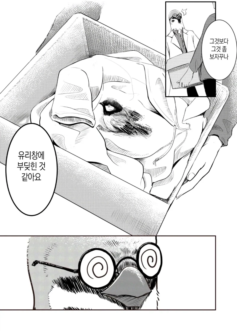 만약 쓰러져있는 새를 발견한다면.manhwa - 이미지 7