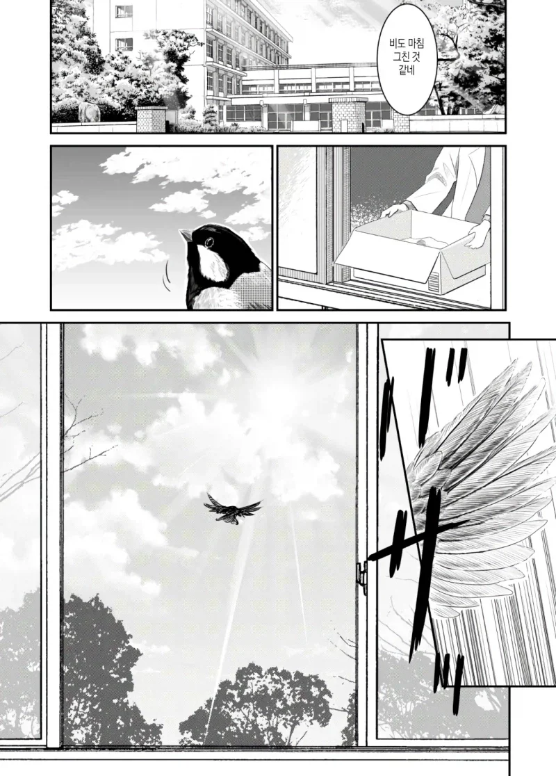 만약 쓰러져있는 새를 발견한다면.manhwa - 이미지 17