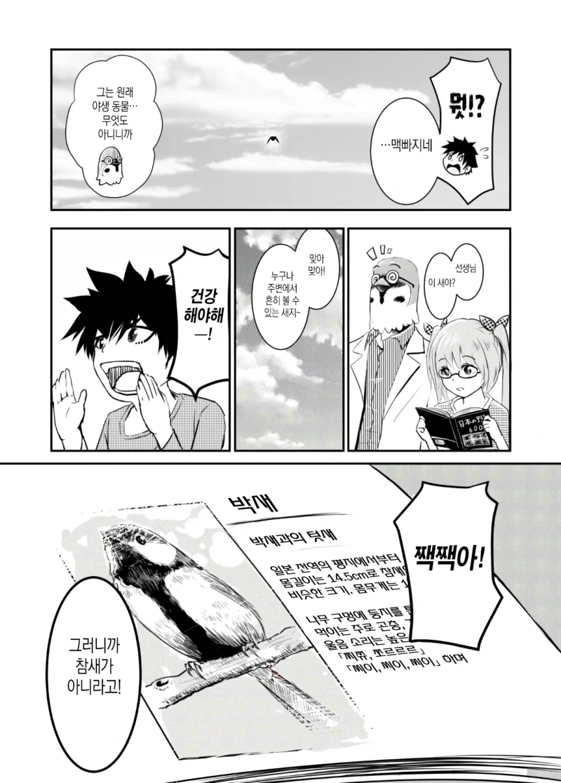 만약 쓰러져있는 새를 발견한다면.manhwa - 이미지 18