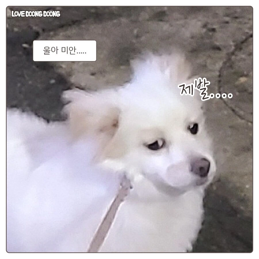 강아지 억지로 깨워서 밤산책 하는.manhwa - 이미지 8