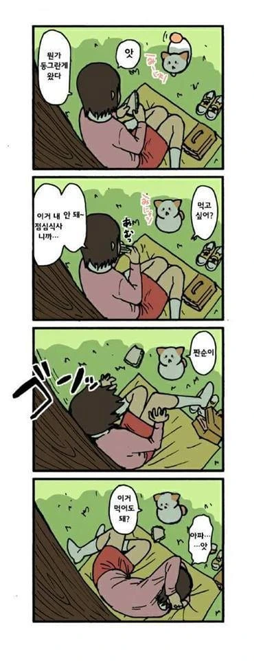 귀엽지 않다면 딸 치러가는 고양이 만화 - 이미지 4