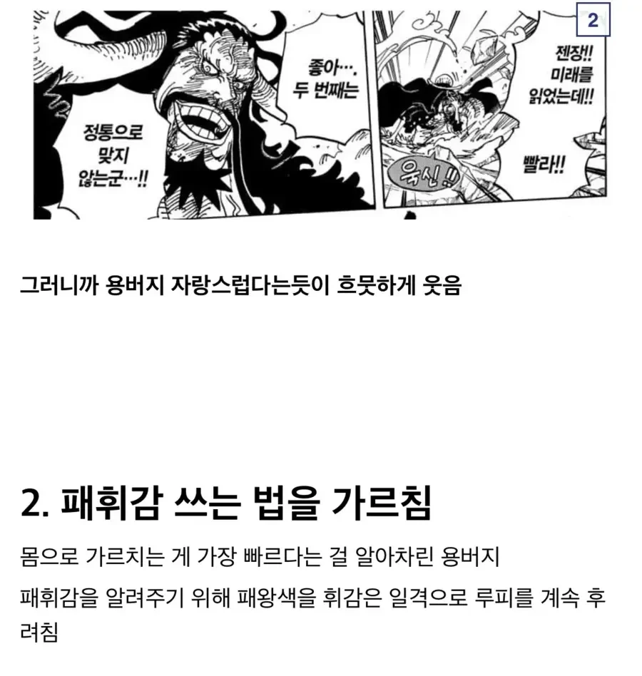 원피스) 찐스승 카이도 - 이미지 2