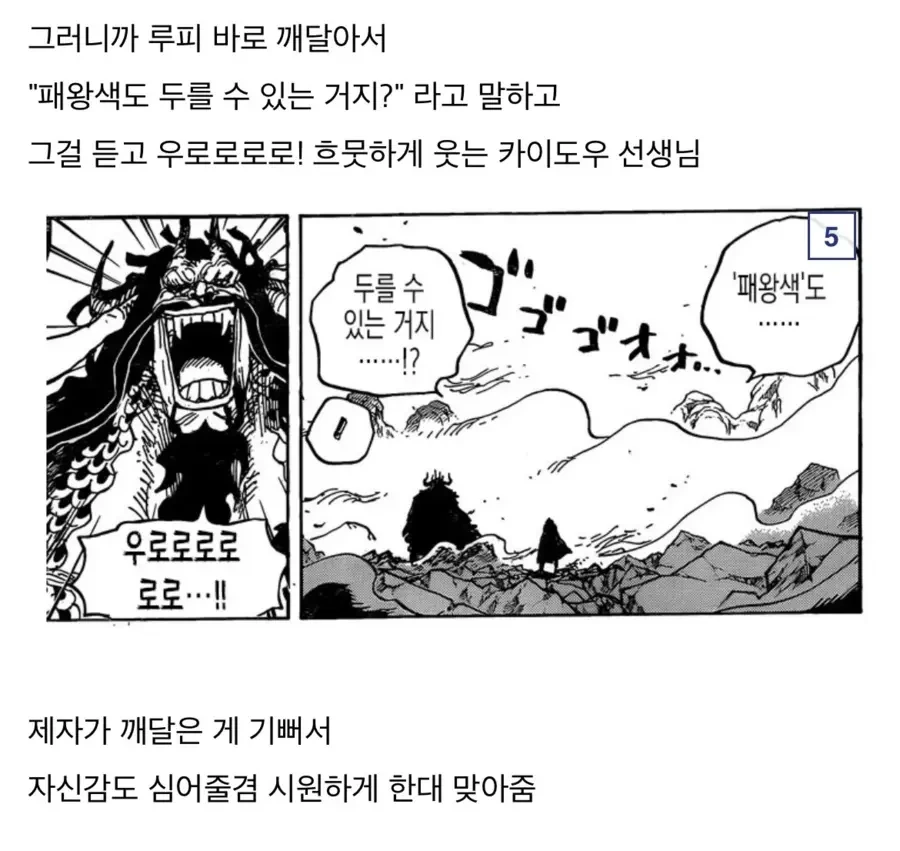 원피스) 찐스승 카이도 - 이미지 4