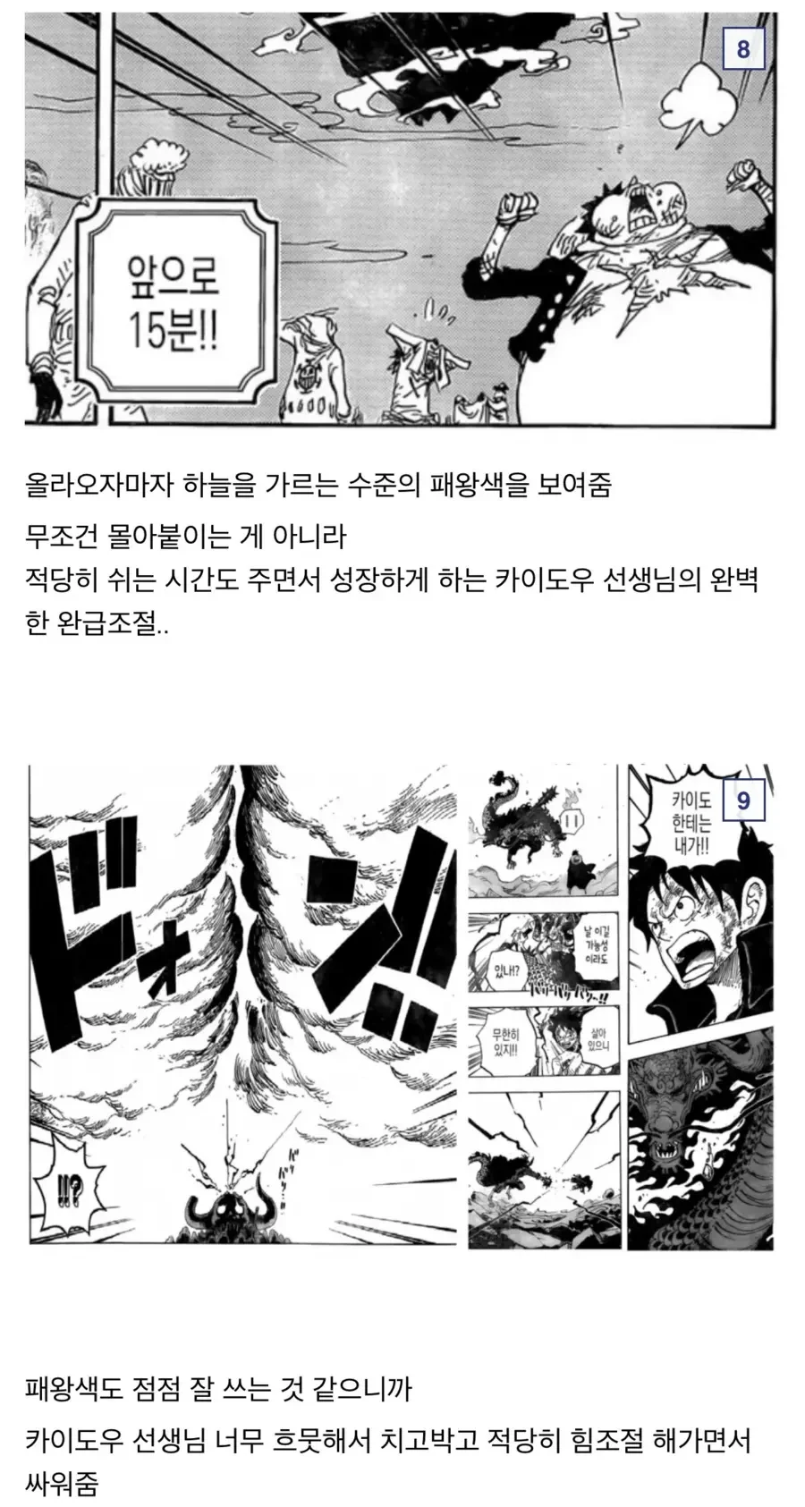 원피스) 찐스승 카이도 - 이미지 7