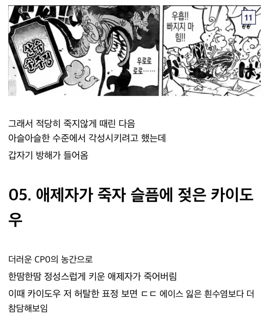 원피스) 찐스승 카이도 - 이미지 9