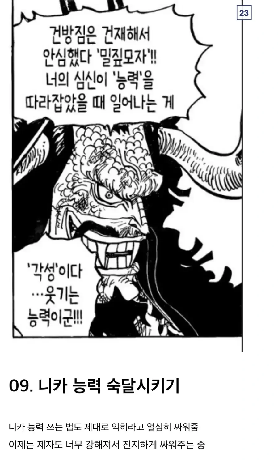 원피스) 찐스승 카이도 - 이미지 19