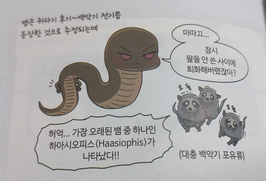 어린이들은 이해할수 없는 어린이용 만화