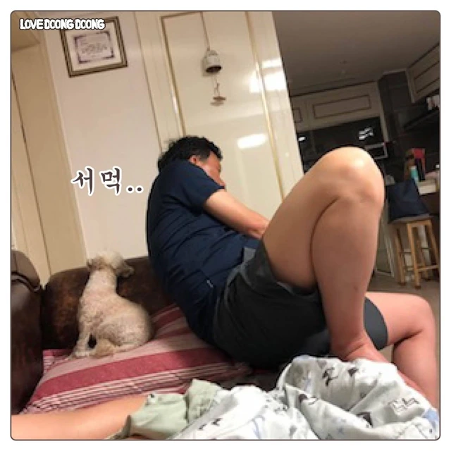 아빠랑 싸운 댕댕이 만화.manhwa - 이미지 8