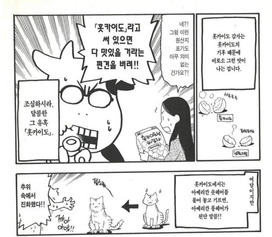 홋카이도 현지민이 홋카이도 씨감자 라는 상품 먹어본 후기 만화 - 이미지 2