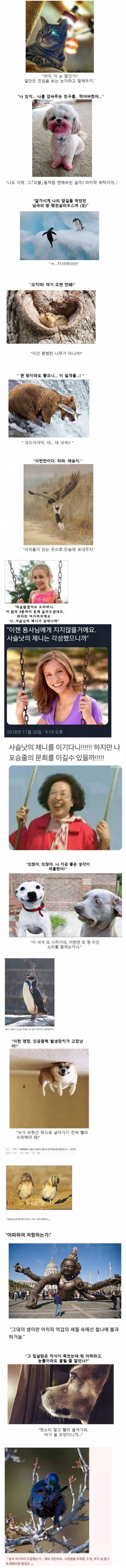 만화의 클리셰 모음