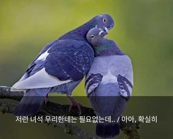 흔한 일본 만화 악당들 대사.jpg - 이미지 5