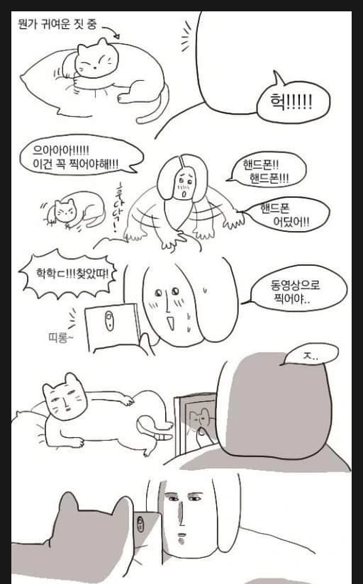 고양이 키우는 사람들 공감하는 만화.Manhwa
