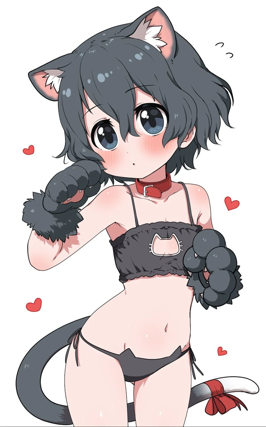 켚)고양이 ㄹㅈㄹ 가방냥