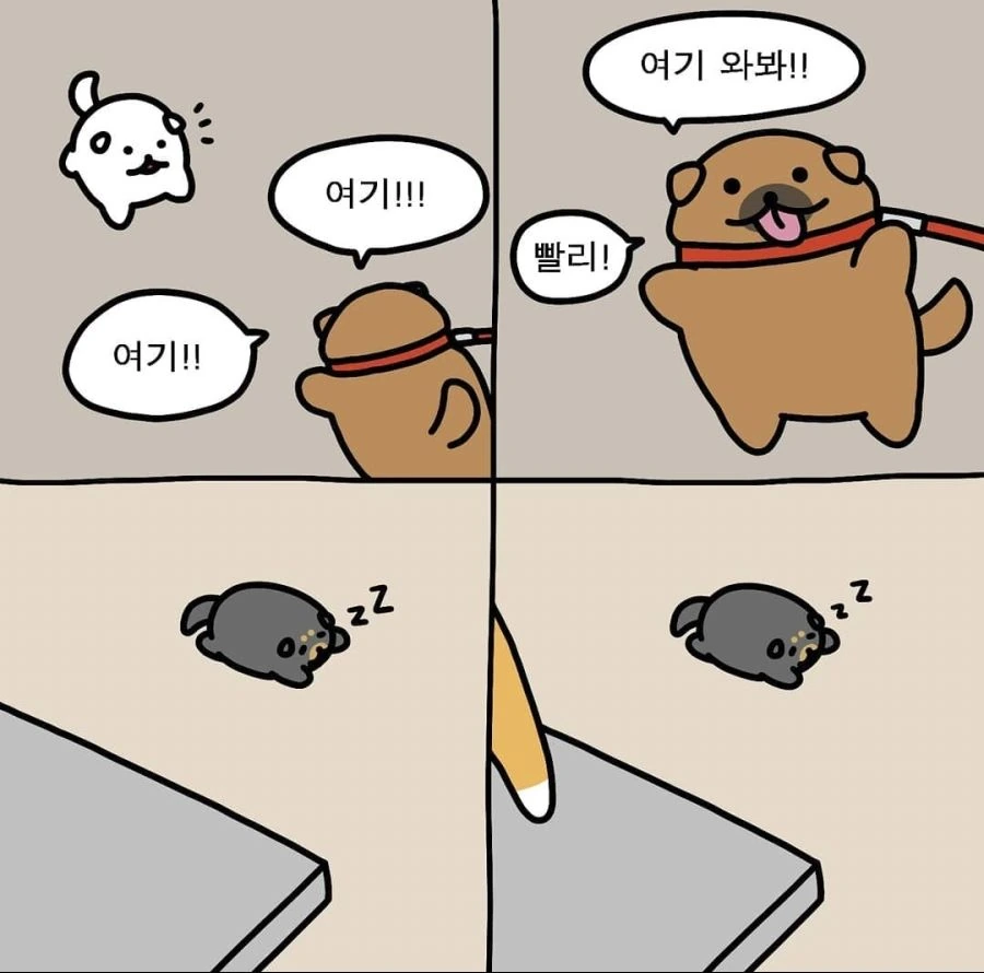 아기 고양이 엄마 찾아주는 만화. - 이미지 6
