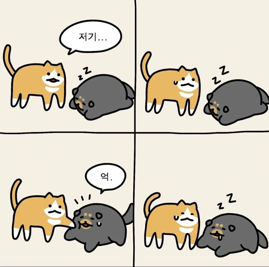 아기 고양이 엄마 찾아주는 만화. - 이미지 9