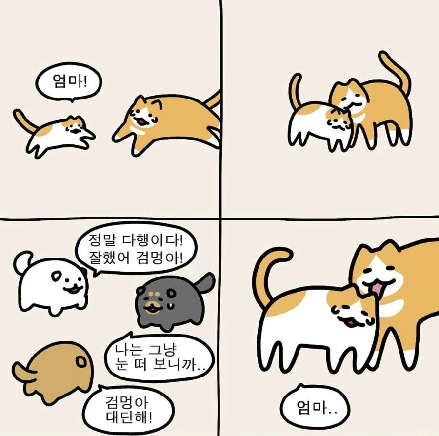 아기 고양이 엄마 찾아주는 만화. - 이미지 11
