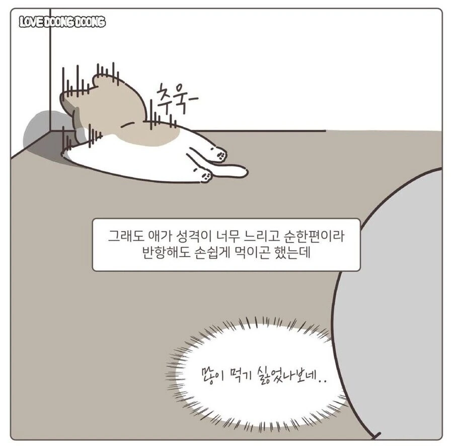 약먹기 싫은 고양이.manhwa - 이미지 3