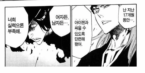 블리치) 왜곡짤이 필요없는 만화 - 이미지 2