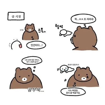곰 앞에서 죽은척하면 안되는 이유 만화 - 이미지 5