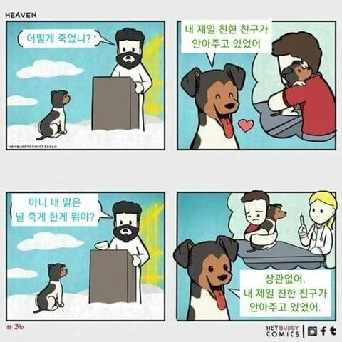 죽어서 애완동물 만나는.manhwa - 이미지 2