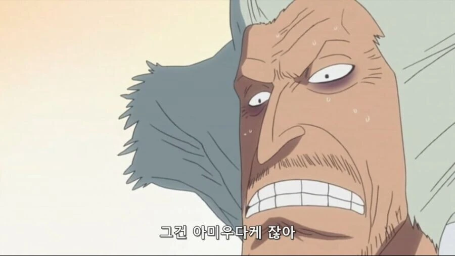 원피스) 히루루크 미화한다 까는 사람 특.manga - 이미지 2