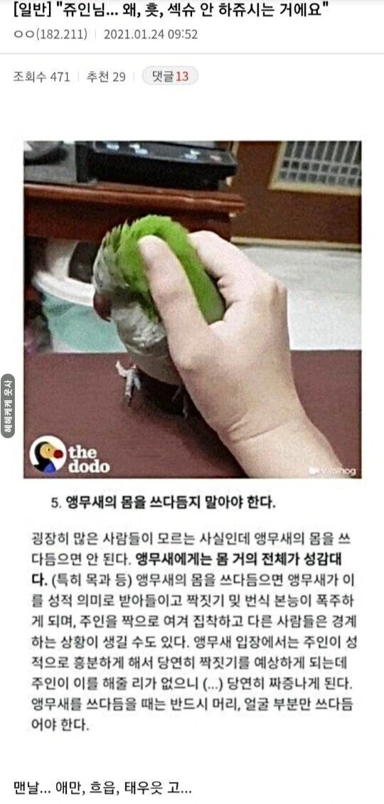 왕눈,호모,퍼리,닭고기)튤리 담쓰담쓰 해주는 만화 - 이미지 5