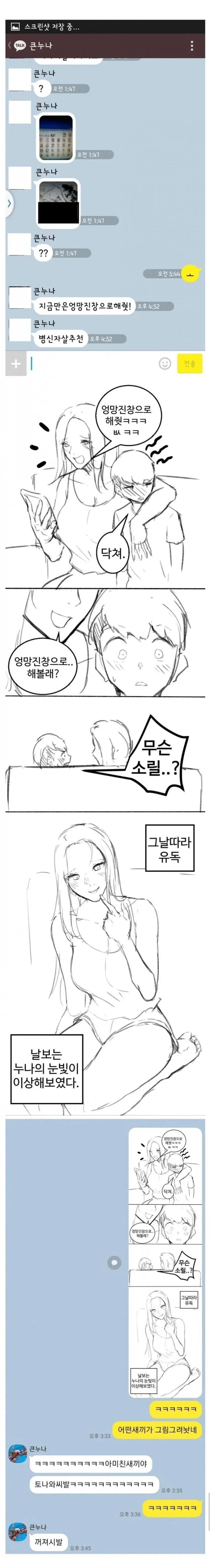 친누나와의 카톡을 누군가 만화로 그려놨다