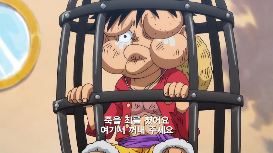 원피스]새로 갱신된 밀짚모자 해적단 수배서 - 이미지 19