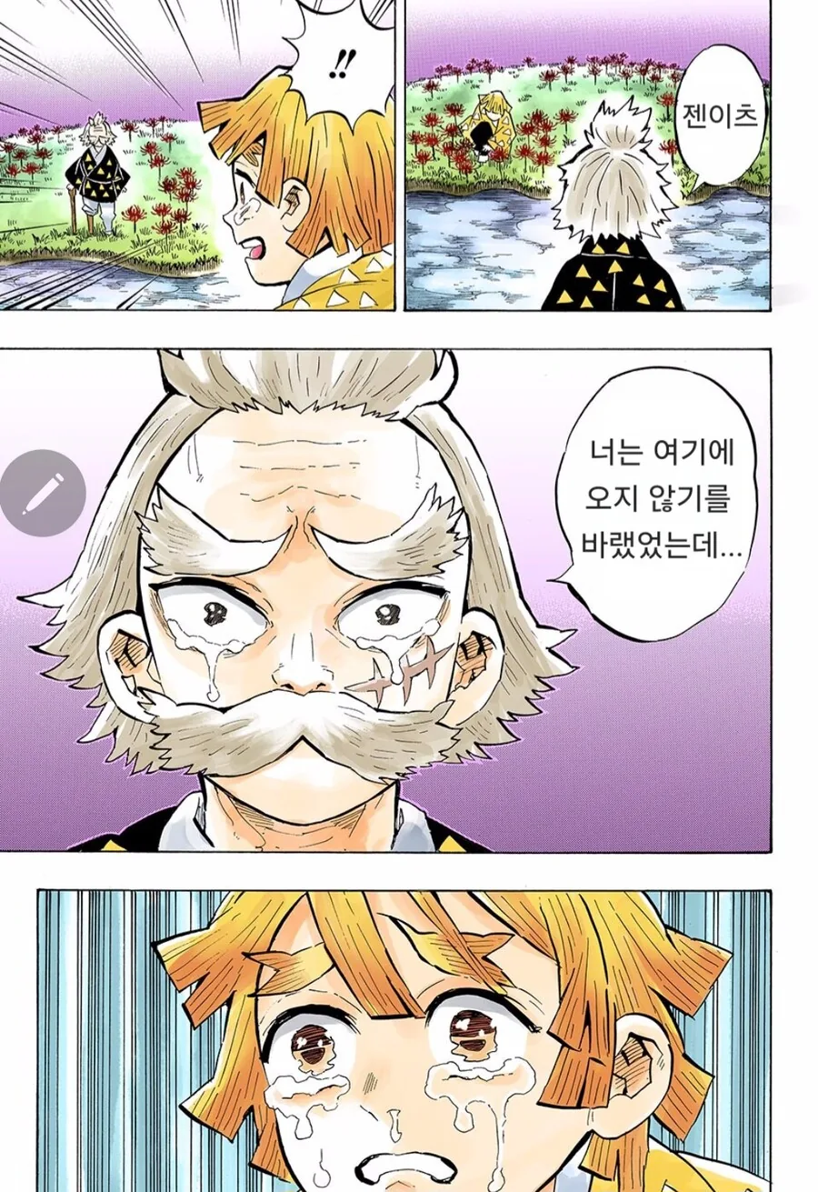 귀멸) 1년만에 만난 젠이츠와 카이가쿠 - 이미지 10