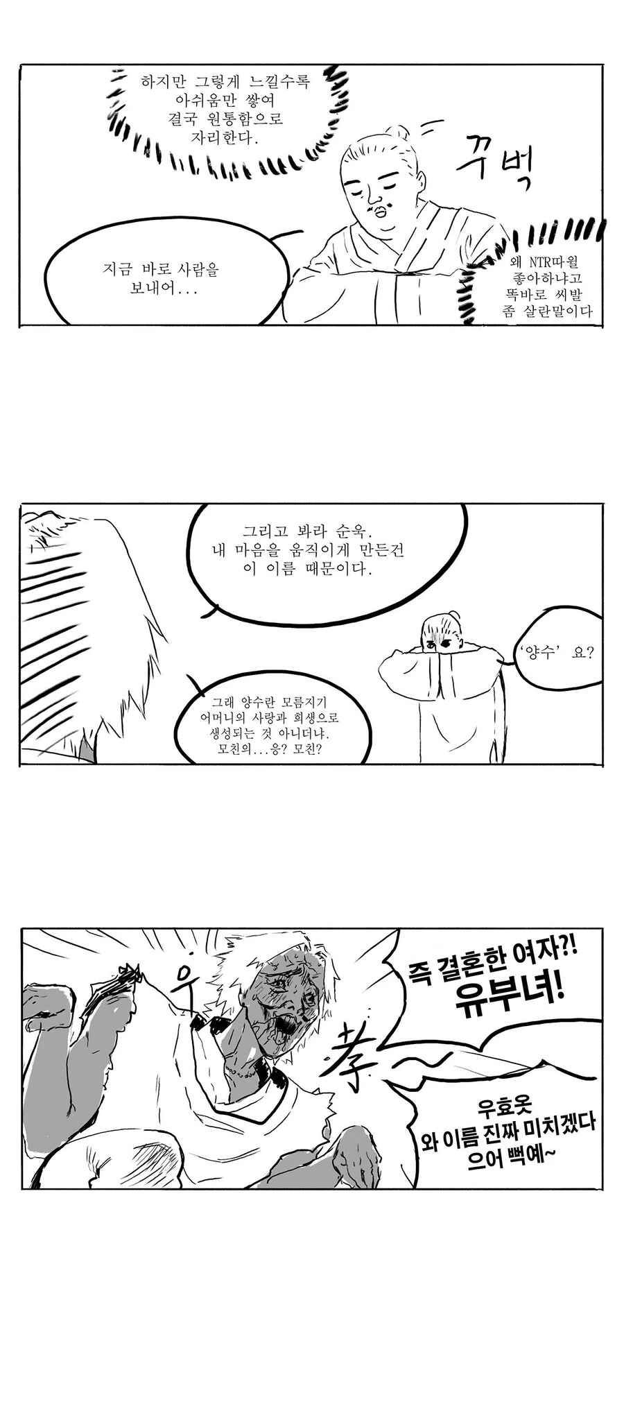 삼국지 안본사람이 그리는 삼국지 만화2 - 이미지 3