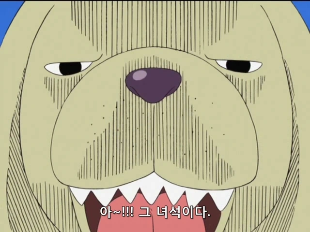 원피스에서 나온 개