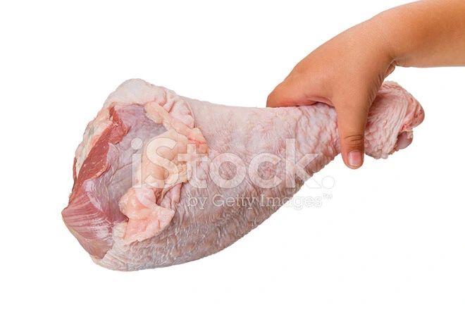 만화고기는 거의 칠면조다리구나