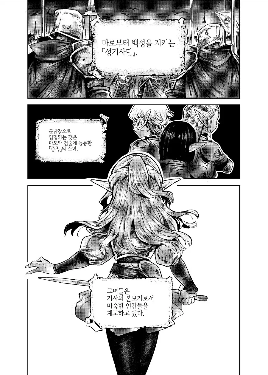 엘프성기사단장 manga