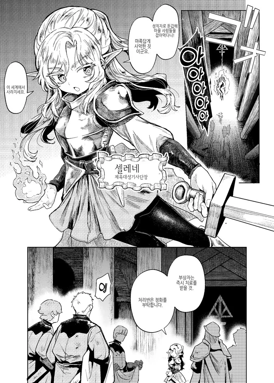 엘프성기사단장 manga - 이미지 2