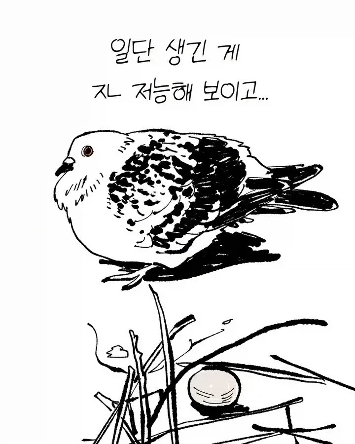 비둘기가 너무 귀여운 manhwa - 이미지 3