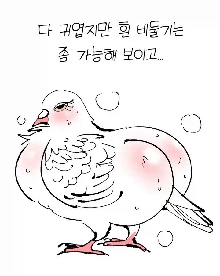 비둘기가 너무 귀여운 manhwa - 이미지 6