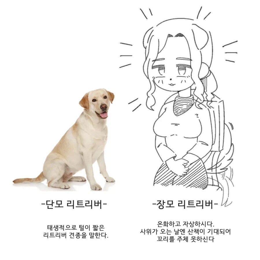 장모와 단모의 차이.manhwa