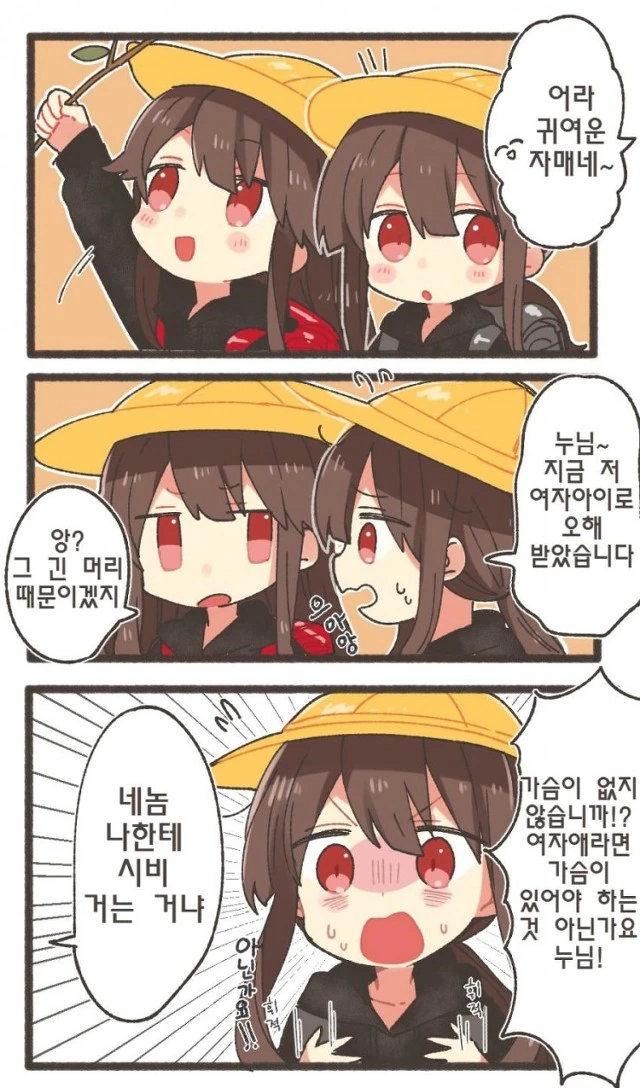 [FGO] 오다 남매 만화