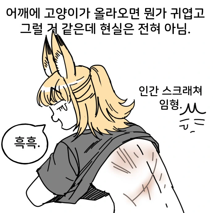 어깨냥이 만화 - 이미지 2