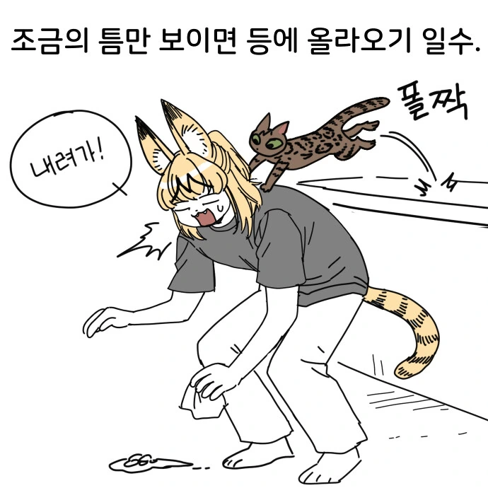 어깨냥이 만화 - 이미지 3